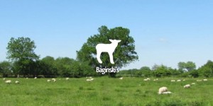 Baginski
